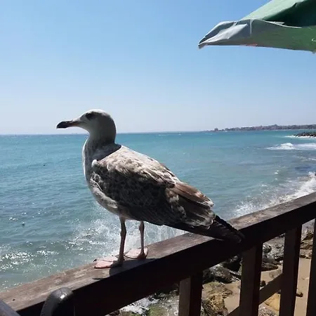 Apartamento Milena Nesebar